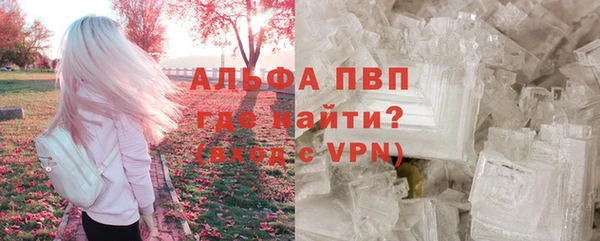 PSILOCYBIN Козельск
